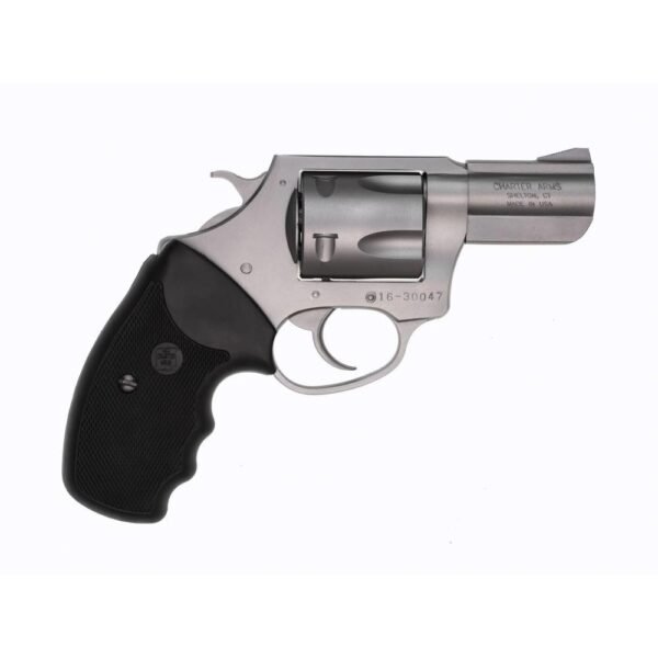 Charter arms pitbull. 40 s&w 5rd capacity 2. 3" barrel stainless full grip