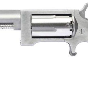 Naa sidewinder 2. 5" brl 22mag mini rev