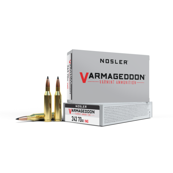 243 win 70gr fb tipped (20 ct. ) ammunition