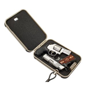 Black foam-lined gun case containing a silver revolver with a black grip, a silver semi-automatic pistol with a wood grip, and a small gray ammunition box.