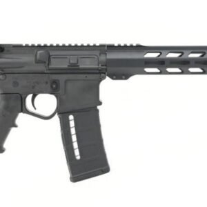 Black semi-automatic rifle with adjustable stock and handguard, featuring a magazine insert; associated keywords: firearms, guns, ammo, bag, iowa, casey iowa.