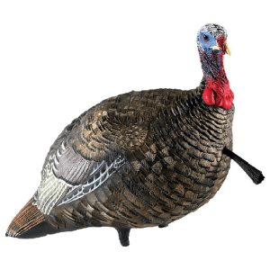 Realistic turkey decoy with detailed brown feathers, red and blue head, and black tail tip.