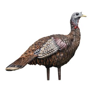 A realistic brown turkey decoy for hunting, featuring detailed feather textures with white, gray, and rust-colored accents.