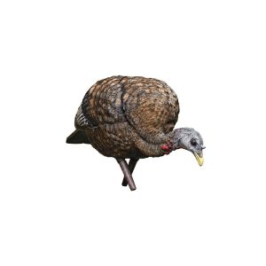 A realistic, brown and gray wild turkey decoy with detailed feather patterns on a white background.
