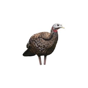 Wild turkey decoy with realistic brown feathers, grey head, and red neck on a white background.