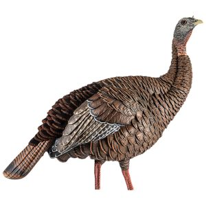Brown and gray wild turkey decoy with detailed feather pattern and realistic pose.