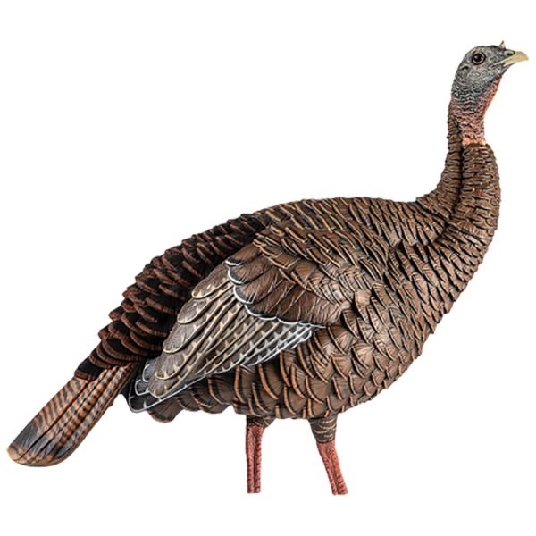 Brown and gray wild turkey decoy with detailed feather pattern and realistic pose.