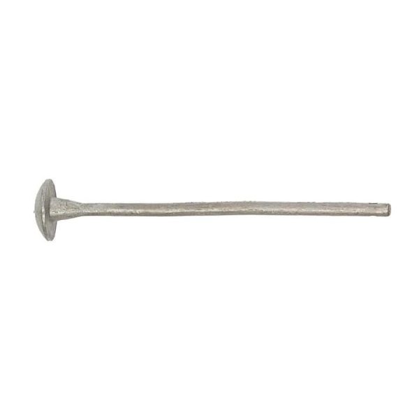 A single rusty metal railroad spike on a white background.