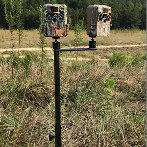 Trail cameras in camouflage housing mounted on a black metal stand, set in a grassy field with trees in the background.