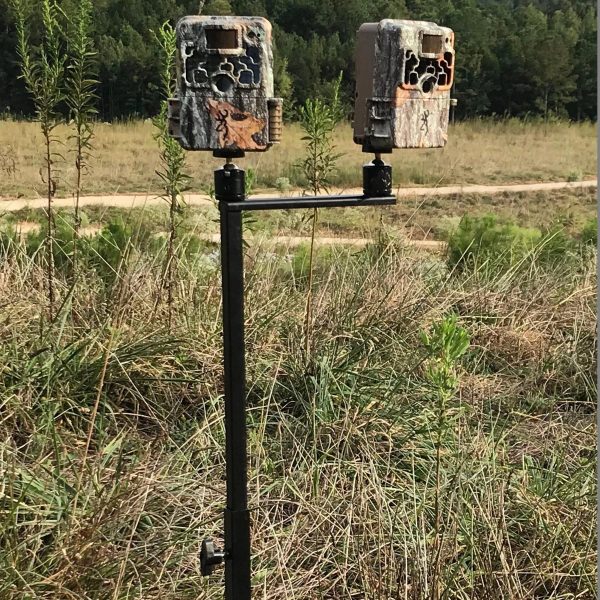 Trail cameras in camouflage housing mounted on a black metal stand, set in a grassy field with trees in the background.