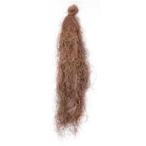 Brown tangled fibers resembling Spanish moss hanging in a bundle.