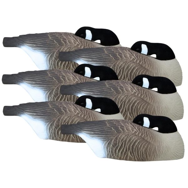 A group of six realistic brown and black canada goose decoys arranged in a line.