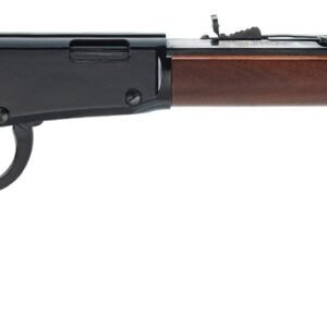 A lever-action rifle with a polished dark brown wooden stock and forearm, and a sleek black metal barrel and receiver.