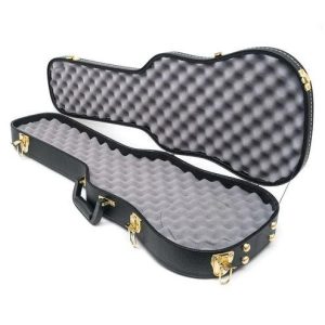 Black gun case with a padded gray interior, gold latches, and a handle, suitable for firearm storage or transport.