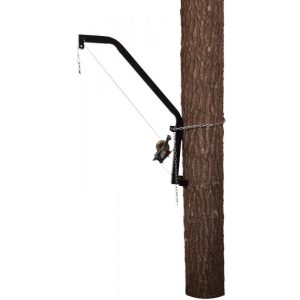 Hunting game hoist mounted on a tree trunk with a metal chain and pulley system.