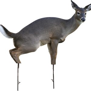 Cutout image of a lifelike 3D deer target with detailed brown and gray fur, white underbelly, black hooves, and realistic antlers, mounted on metal stakes.
