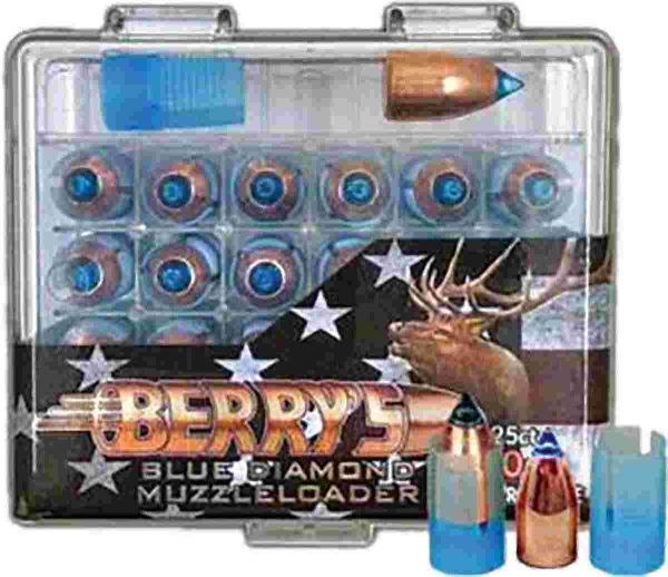 250gr bullet w/ sabot 25ct bullets