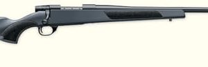 Weatherby vanguard s2 youth 22-250 syn