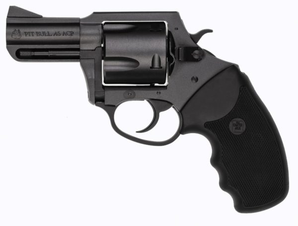 Charter arms mag pug 357m nitride 5rd 2. 2"