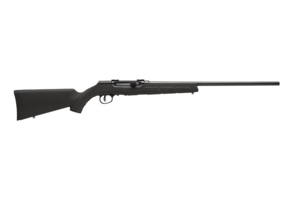 Savage arms a17 17hm2 bl/syn 22" 10+1 at