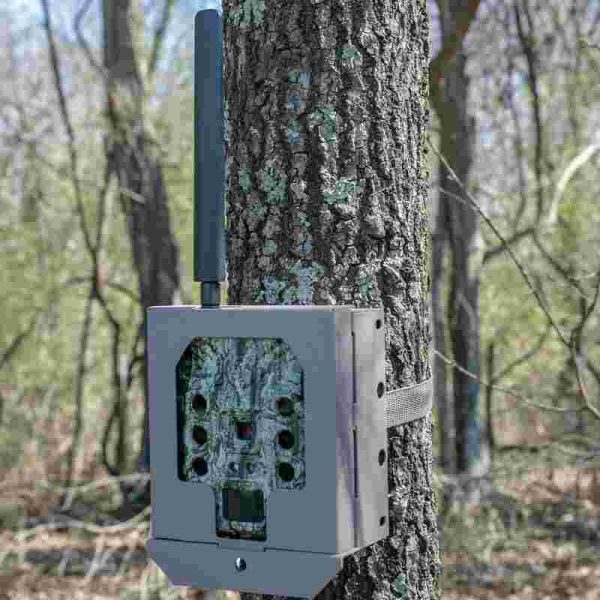 Bushnell camera security box for (cellular) cellucore models sd - tan