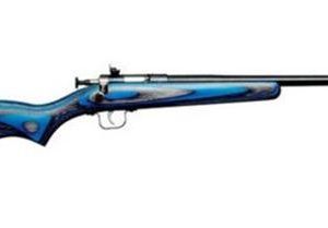 Crickett 22 lr rifle blue laminated blued