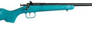 Crickett blue synthetic stock rifle. 22lr single shot 16. 125" blued barrel