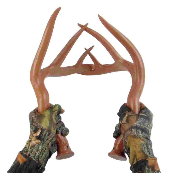 Primos fightin' horns