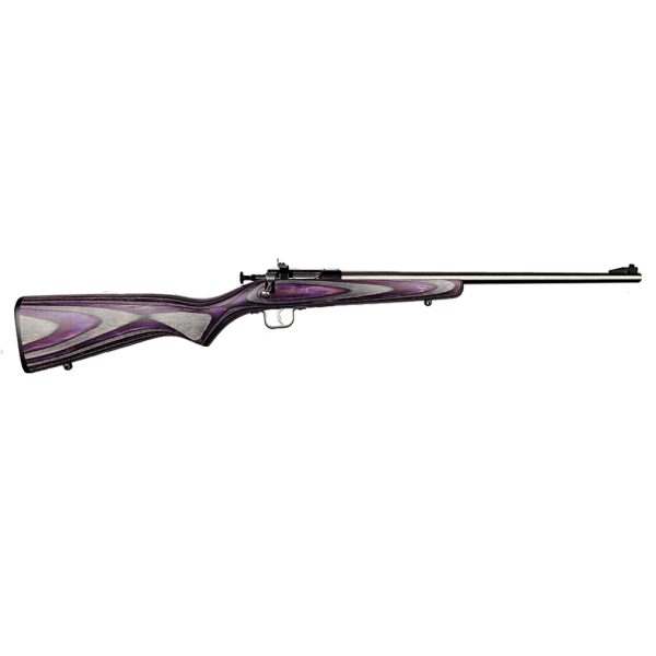 Keystone sporting arms crickett 22lr ss/purple lam