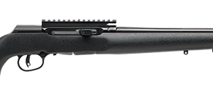 Savage arms a22 pro varmint 22mag wd 22"