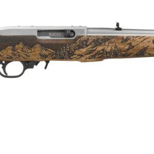 Ruger 10/22 mule deer 22lr ss/wd