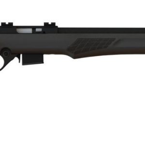 Rossi rb22m 22mag blk/syn 21" 5+1