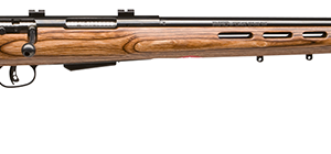 Savage arms 25lv 223rem bl/lam thbhl dbm
