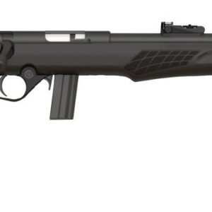 Rossi rb22 22lr blk/syn 18" 10+1