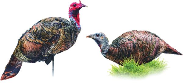 Montana decoyco purrfect pair xd turkey combo