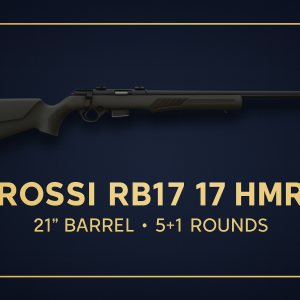 Rossi ross 175 - rossi rb17 17hmr blk/syn 21" 5+1