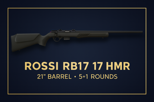 Rossi ross 175 - rossi rb17 17hmr blk/syn 21" 5+1