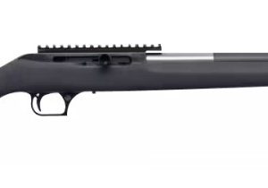 Magnum research magnum lt 17hmr straight pull