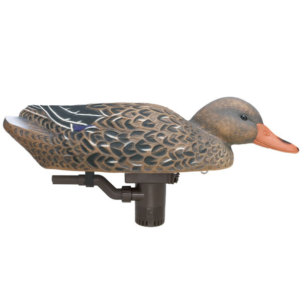 Higdon motion battleship swimmer pro mallard hen