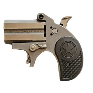 Bond arms stubby 22lr ss 2. 2" fs