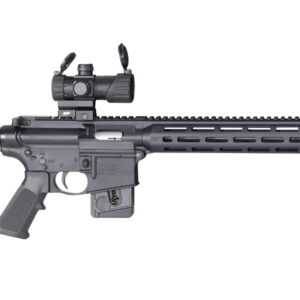 SMITH AND WESSON M&P15-22 SPORT OR 22LR 10+1