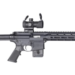 SMITH AND WESSON M&P15-22 SPORT OR 22LR 10+1 CA