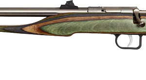 Chipmunk Pistol Hunter .22LR – Stainless/Camo Laminate Threaded Barrel
