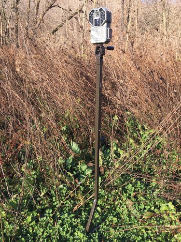 HME TRAIL CAM GROUND MOUNTING - STICK ADJUSTABLE 26"-36" - Image 2